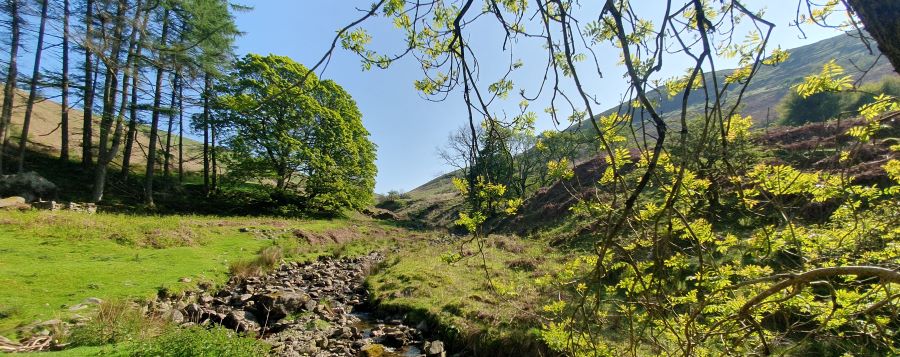 View down our valley